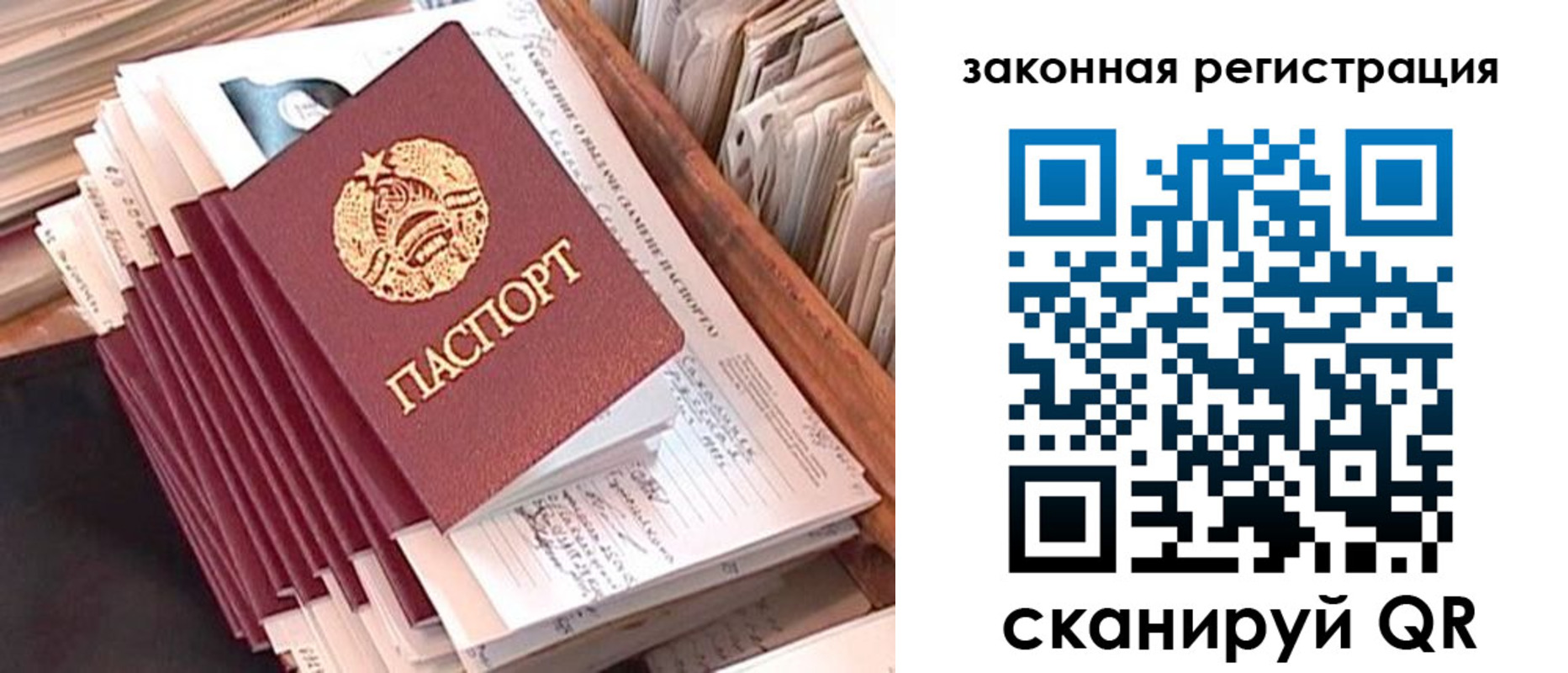 прописка для работы в Павловске